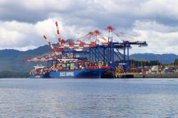 Prince Rupert: Cranes that reminded us of Lionfish